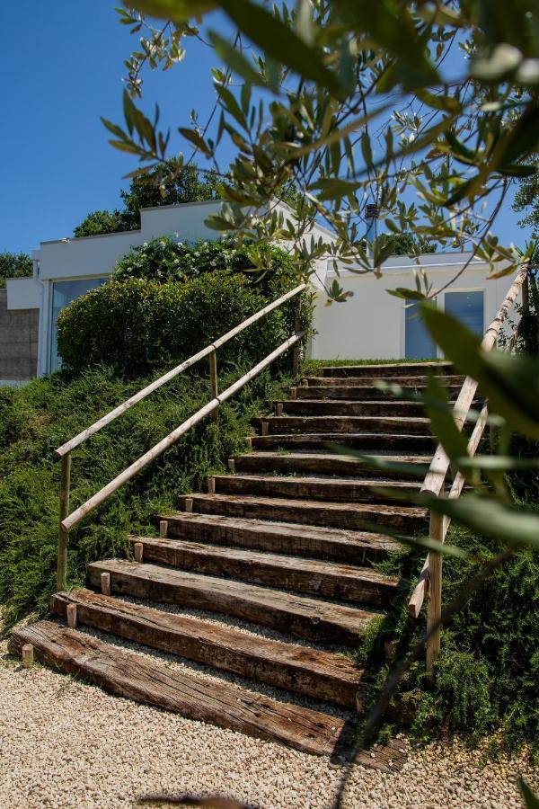 Bed and Breakfast Ulivo Bianco San Giovanni Teatino Esterno foto