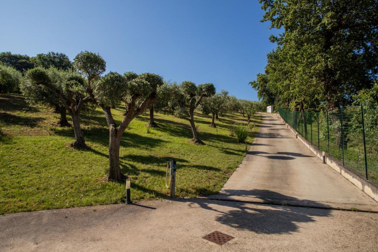 Bed and Breakfast Ulivo Bianco San Giovanni Teatino Esterno foto